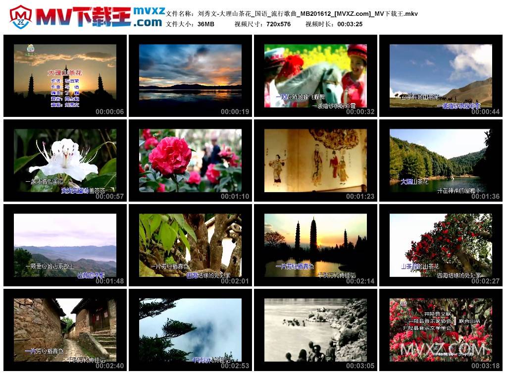 刘秀文-大理山茶花_国语_流行歌曲_MB201612